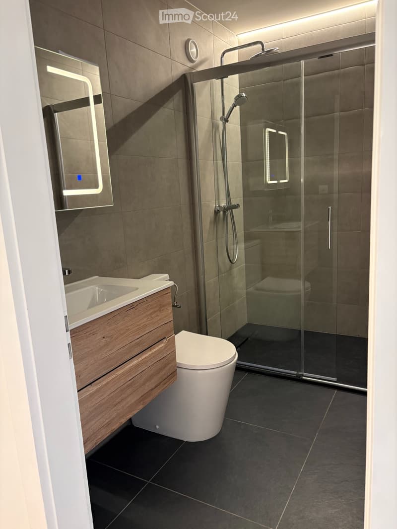 Wohnung in Sion zu verkaufen (6)