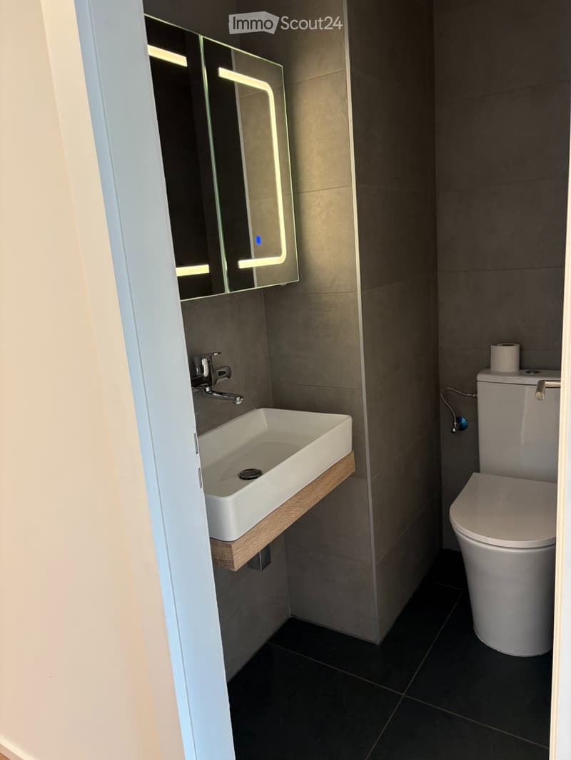 Wohnung in Sion zu verkaufen (7)
