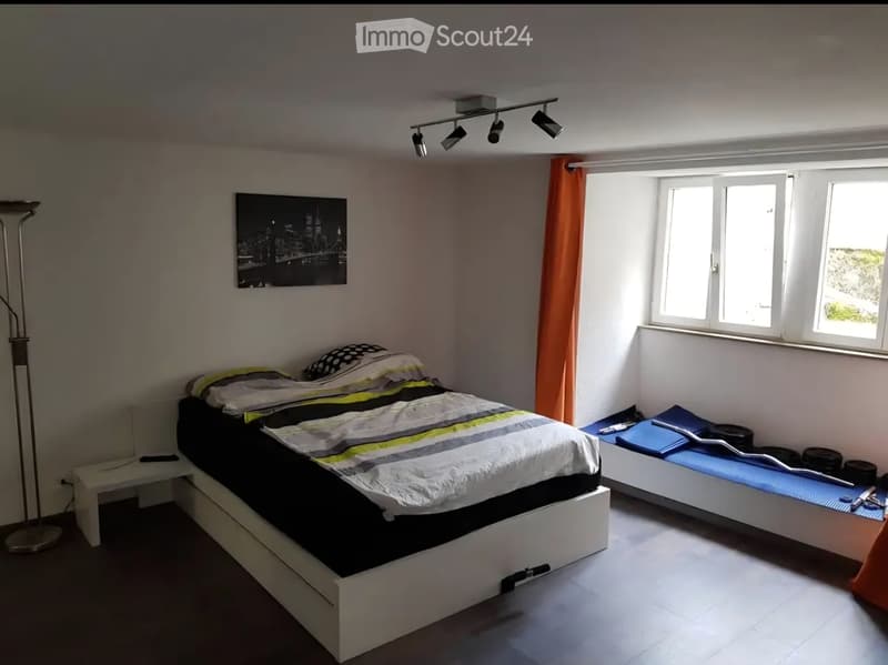 Très bel appartement de 2,5 pces (4)