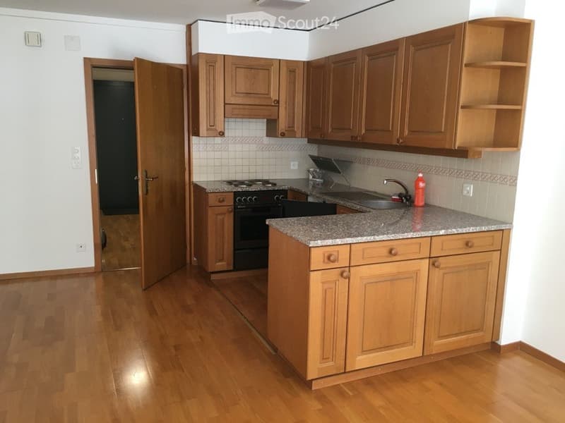 Appartement lumineux et spacieux de 2 pièces avec cuisine ouverte (3)