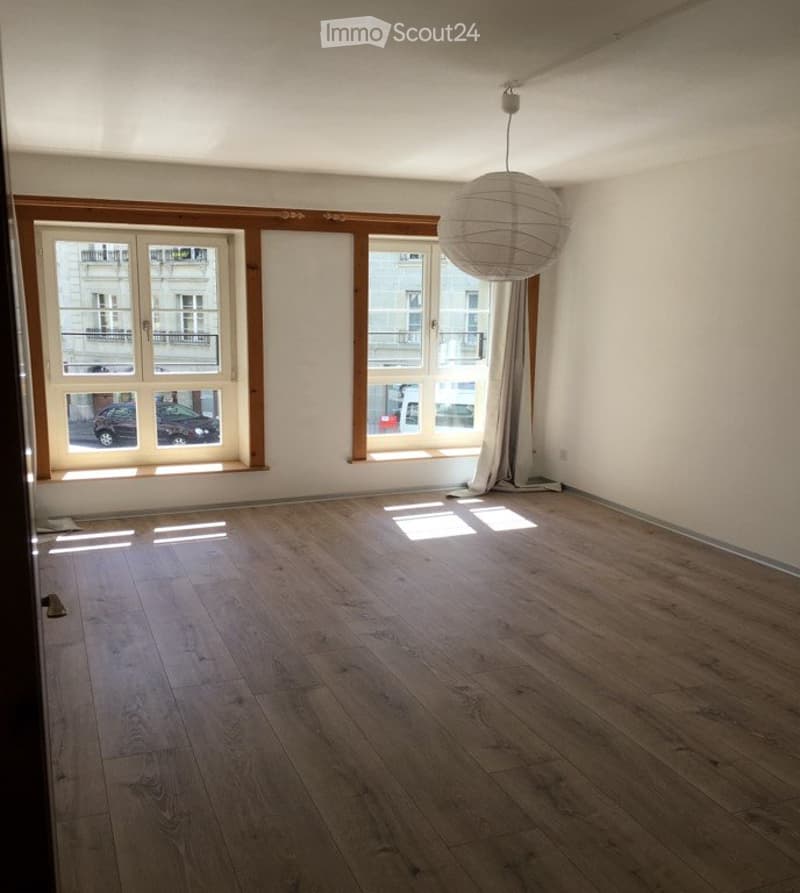 Appartement lumineux et spacieux de 2 pièces avec cuisine ouverte (1)