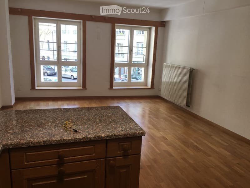 Appartement lumineux et spacieux de 2 pièces avec cuisine ouverte (4)