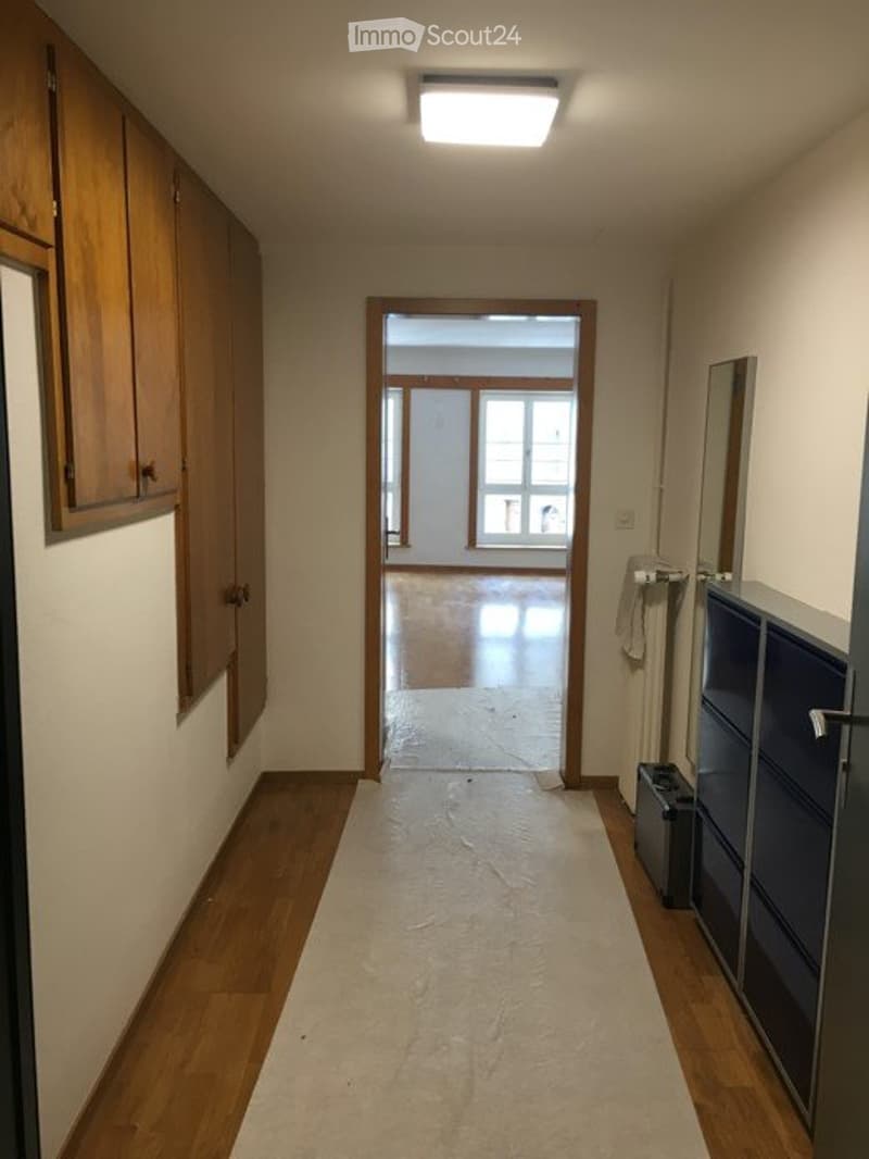 Appartement lumineux et spacieux de 2 pièces avec cuisine ouverte (5)