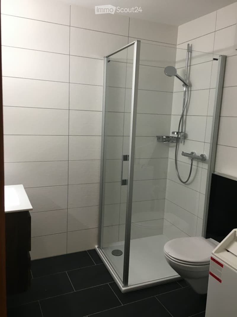 Appartement lumineux et spacieux de 2 pièces avec cuisine ouverte (2)