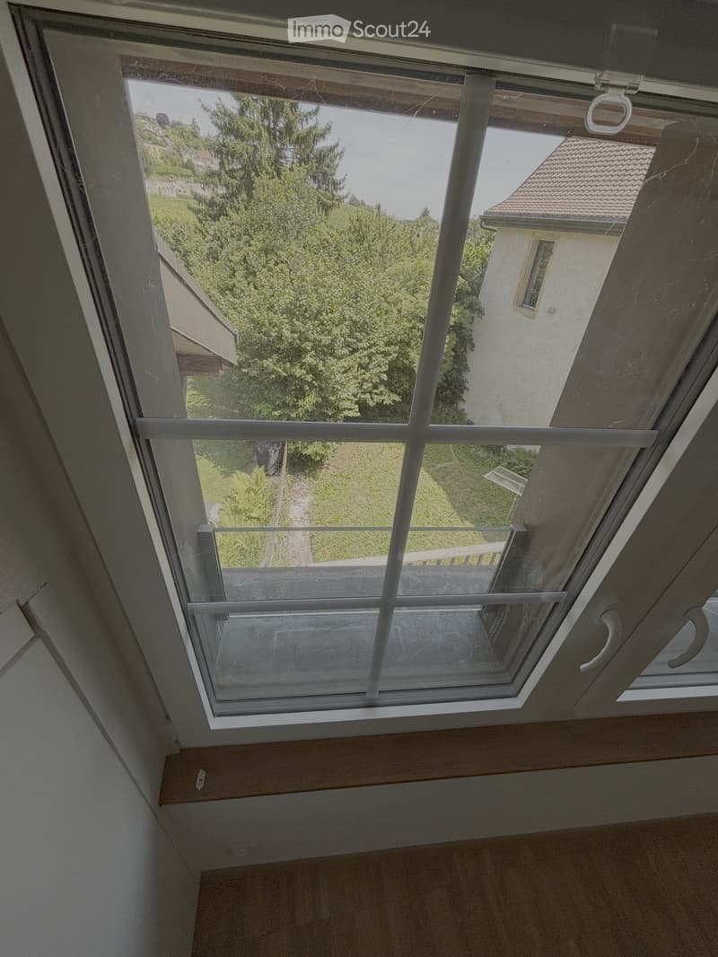 Bel appartement avec jardin à Auvernier (2)