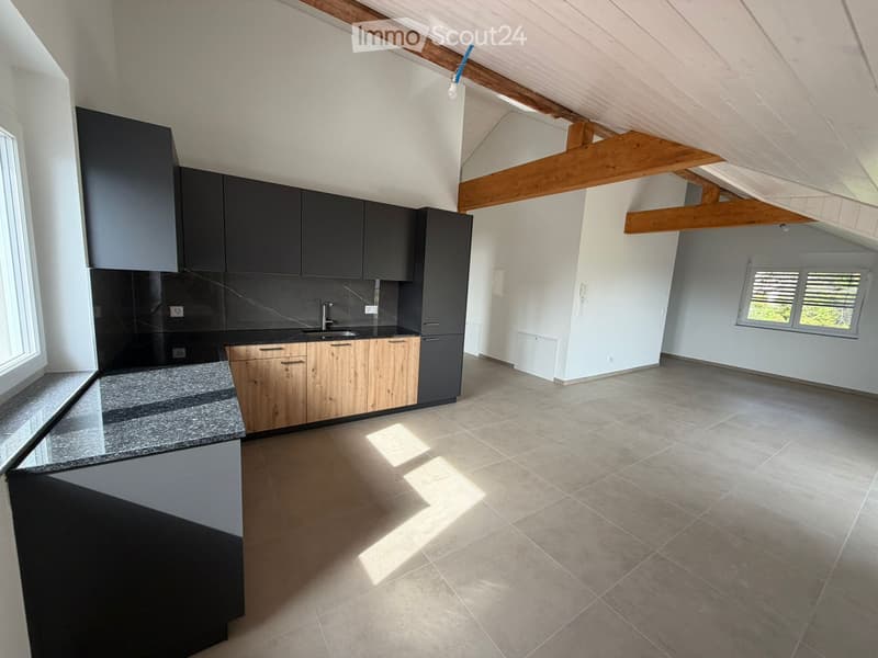 Appartement neuf et très lumineux disponible de suite (1)