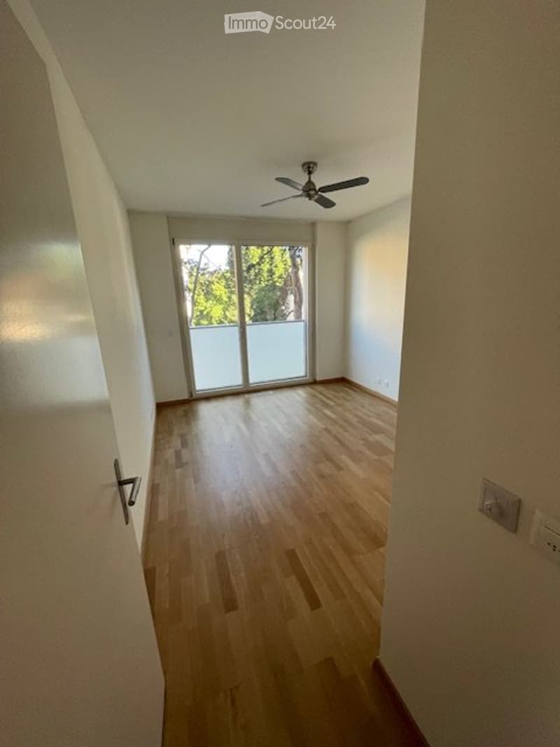 Carouge ZU VERKAUFEN wunderschönes Apartment 4 Zimmer + Box eine Stelle (3)