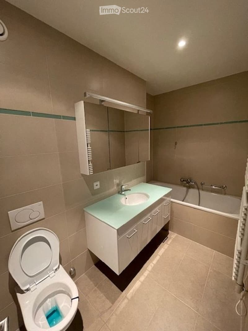 Carouge ZU VERKAUFEN wunderschönes Apartment 4 Zimmer + Box eine Stelle (2)