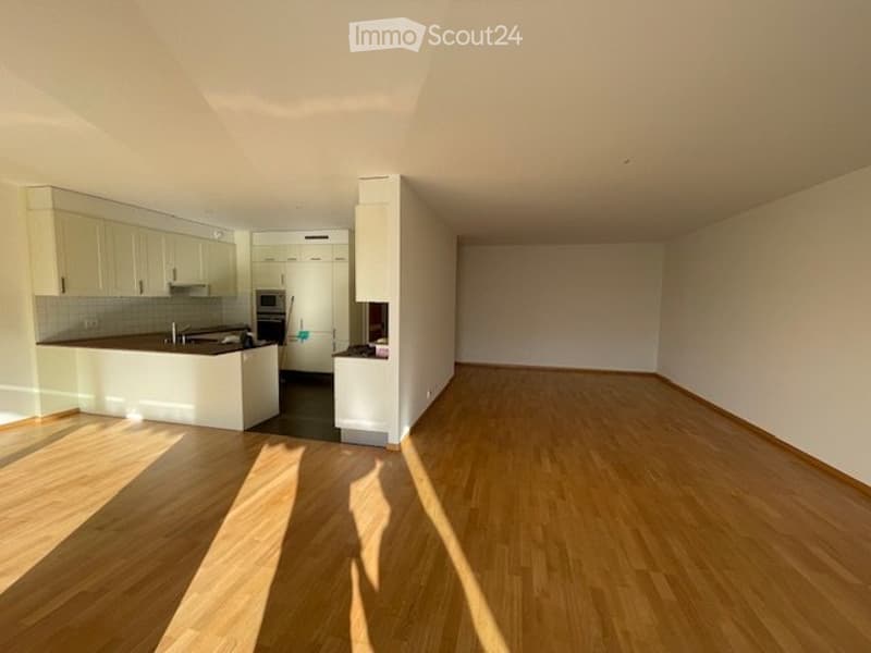 Carouge ZU VERKAUFEN wunderschönes Apartment 4 Zimmer + Box eine Stelle (1)
