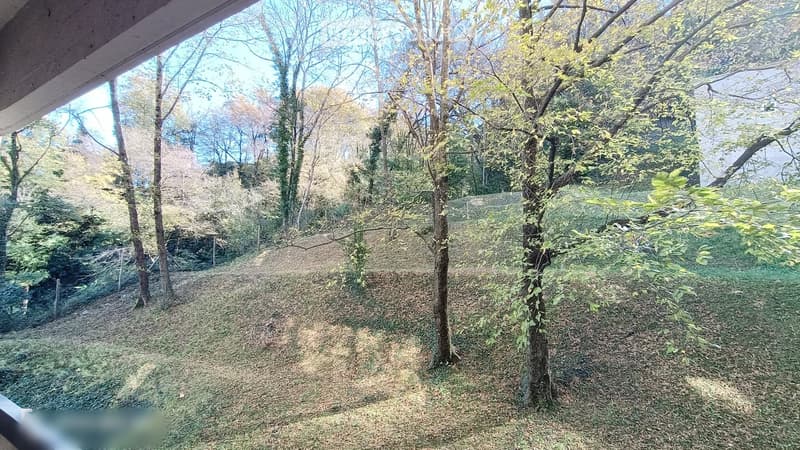 3.5-room apartment in Pazzallo renovated in 2022 (5)