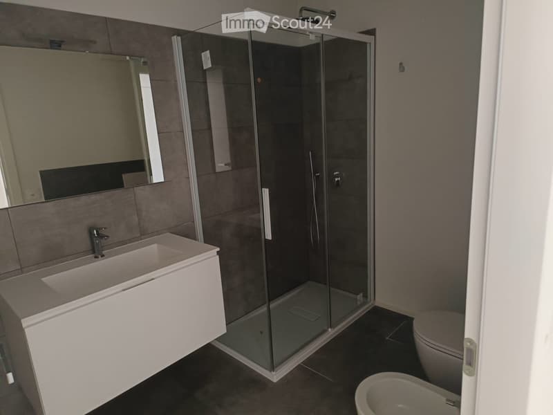 Sell 2.5 rooms in Monteggio Nuovo, already rented (4)