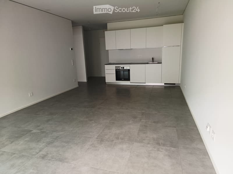 Sell 2.5 rooms in Monteggio Nuovo, already rented (5)