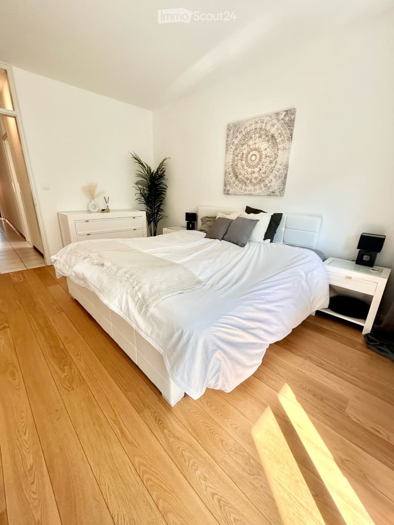 3.5 rooms renovated in Viganello-Cassarate (2)