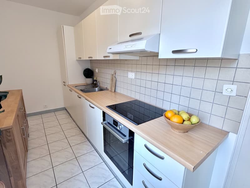 3.5 rooms renovated in Viganello-Cassarate (4)