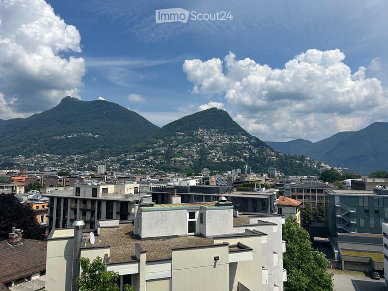 Monolocale arredato al 6 piano in pieno centro (5)