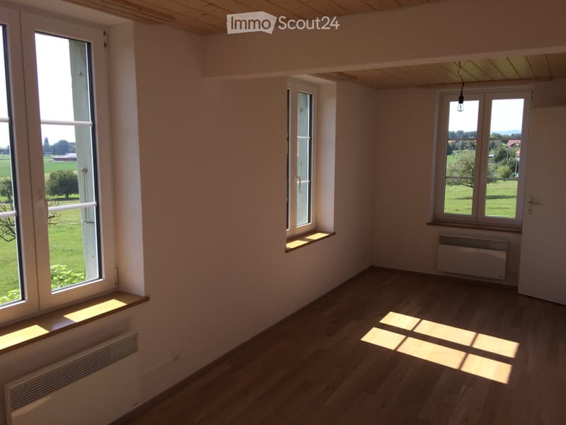 Bella appartamento di 2.5 camere in una casa colonica (4)