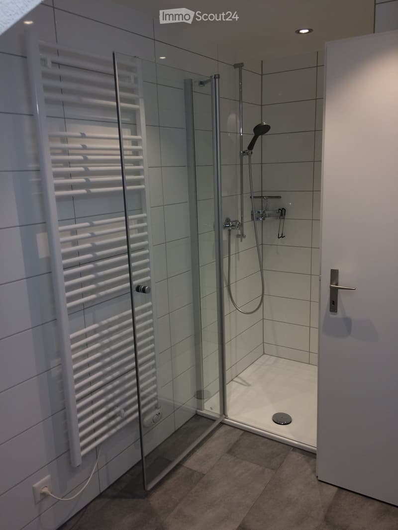Bella appartamento di 2.5 camere in una casa colonica (3)