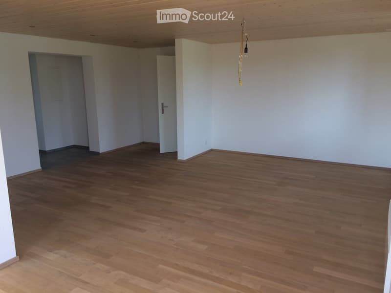 Bella appartamento di 2.5 camere in una casa colonica (5)