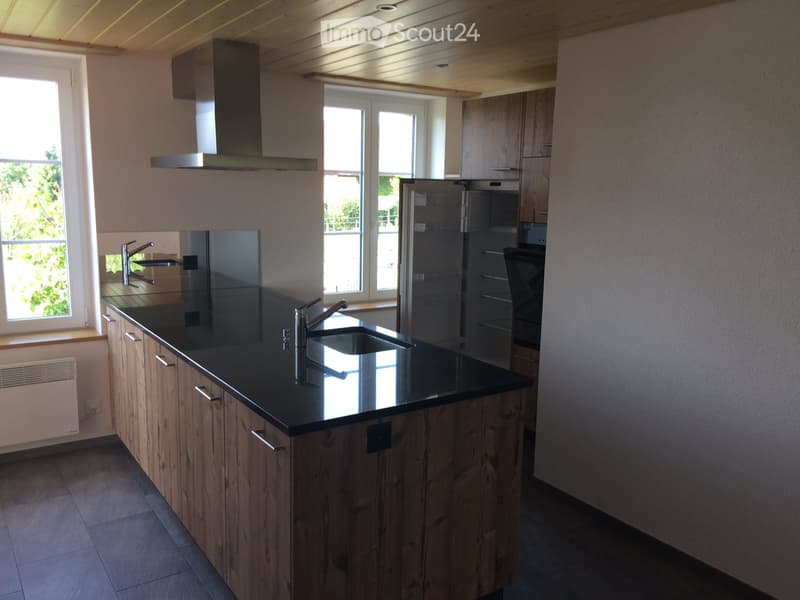 Bella appartamento di 2.5 camere in una casa colonica (2)
