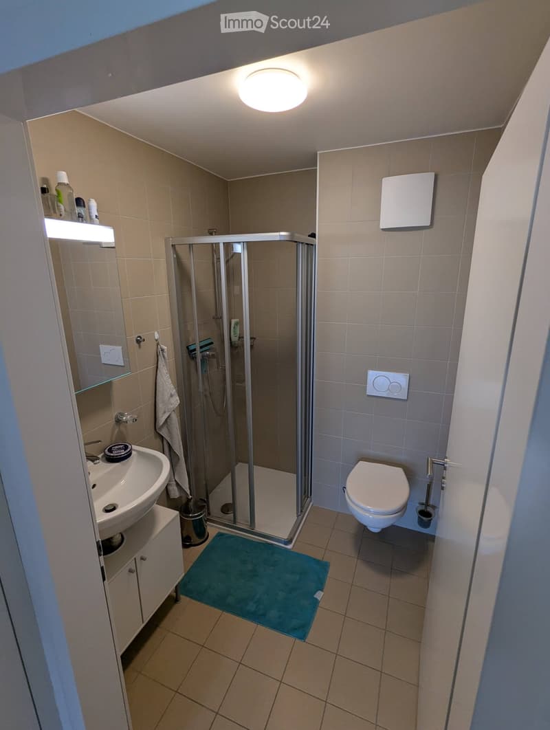 4,5 locali con balconi, vista lago e montagna - Bouveret (5)