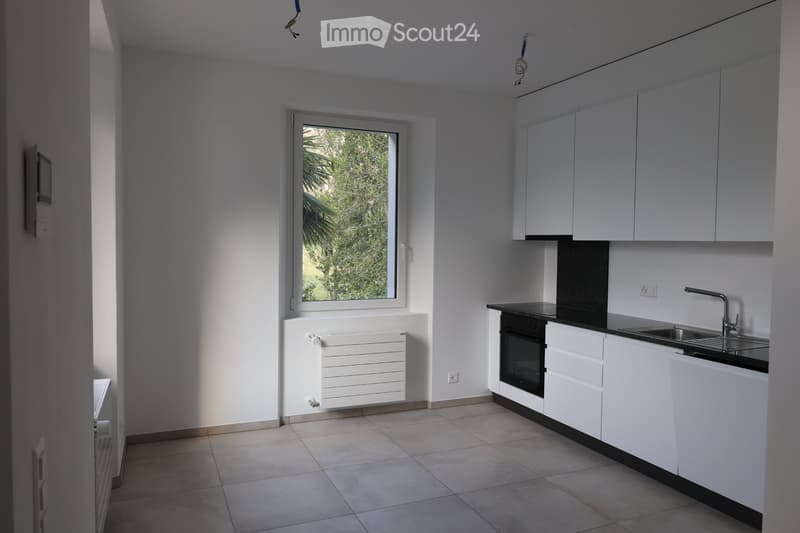 Affittasi appartamento 2 locali a Lodrino (1)