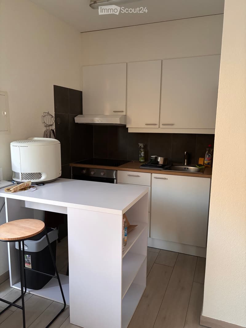 Sublet Forel (2)