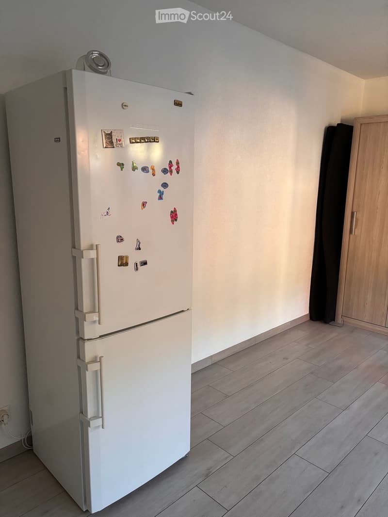 Sublet Forel (4)