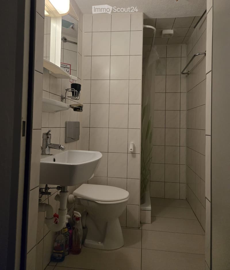 Studio in the center of Steckborn TG for rent (1)
