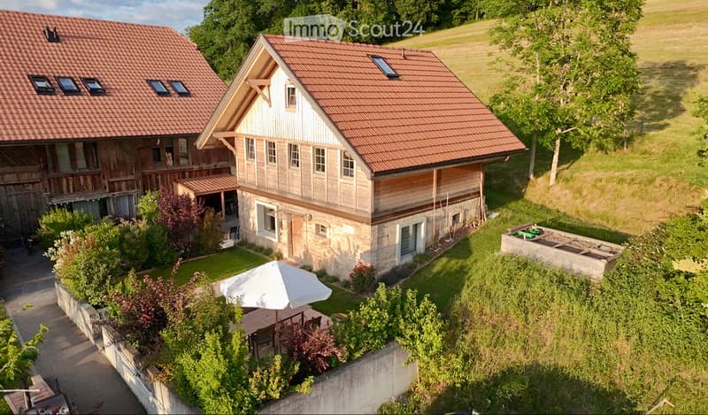 Bella piccola casa indipendente ristrutturata nel 2020 (1)