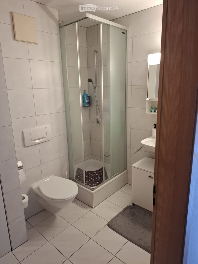 4.5 Zimmerwohnung in Salgesch zu vermieten (5)