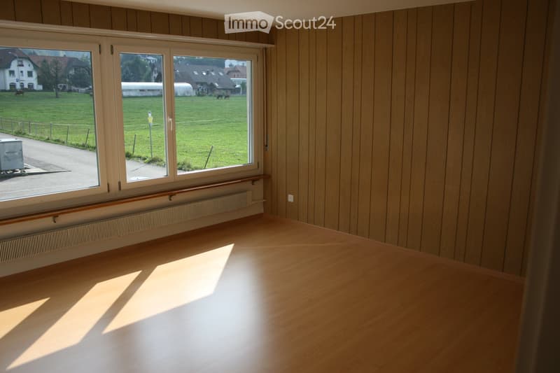 Confortable-Ensoleillé-Calmement avec vue sur le Jura (2)