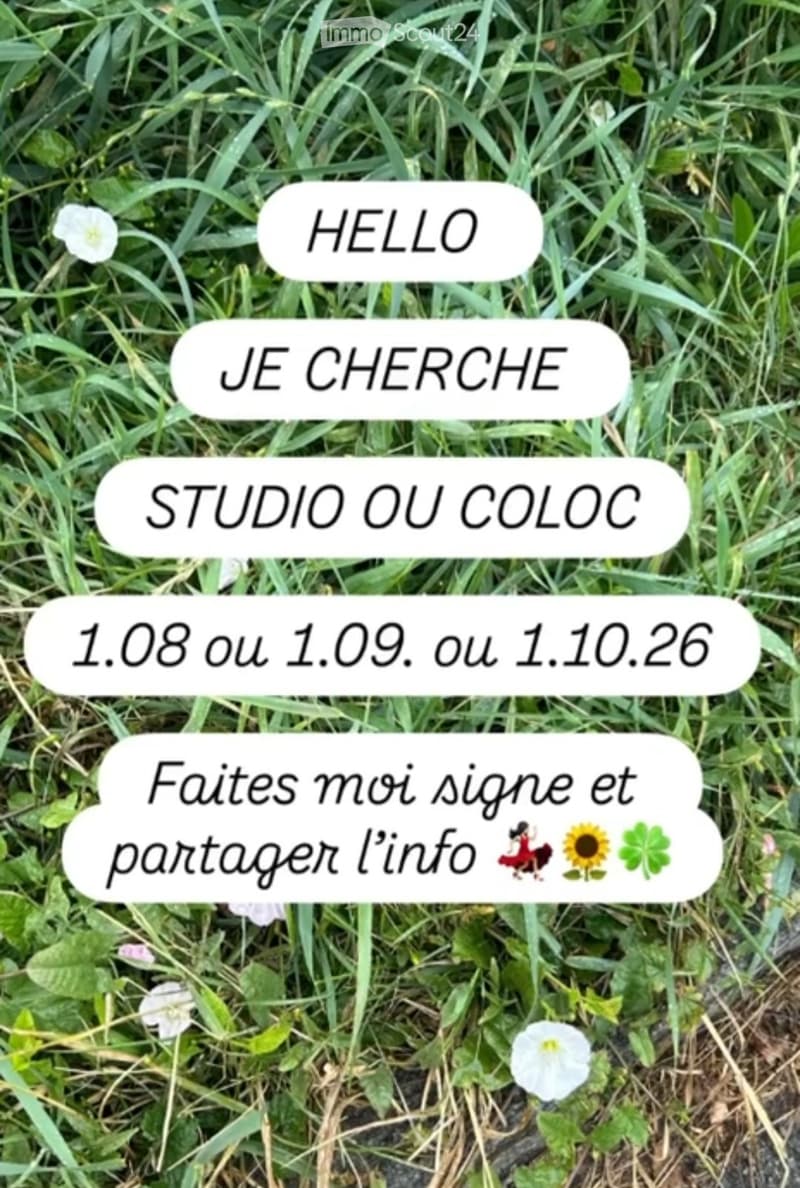Cerco Studio O Colocation (1)