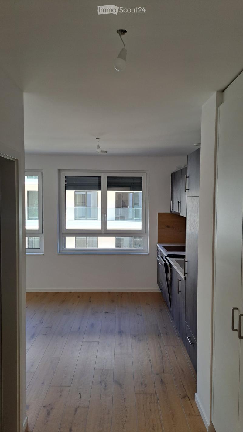 Appartamento in affitto (2)