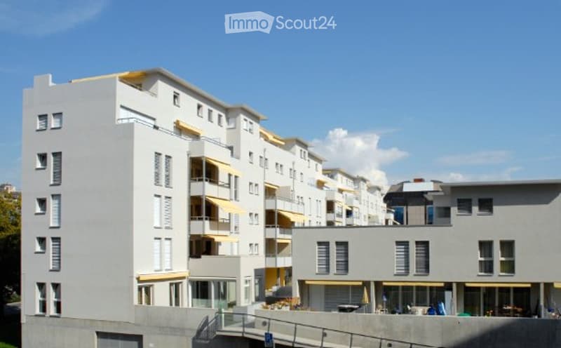 Appartamento duplex sovvenzionato (1)
