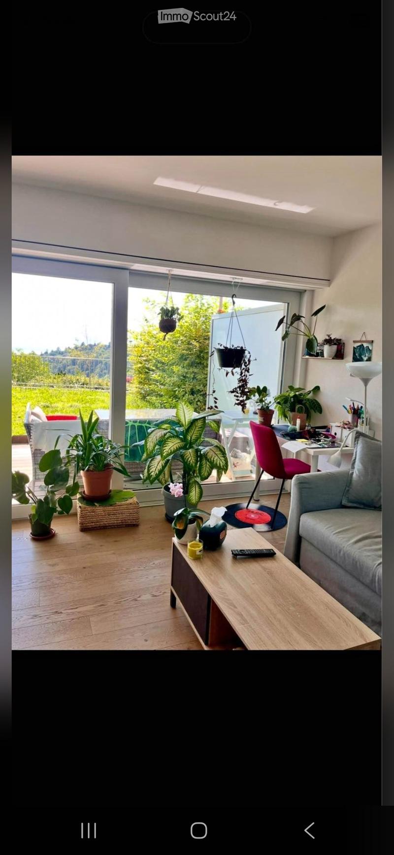 Zweieinhalb-Zimmer-Wohnung in Belmont (1)
