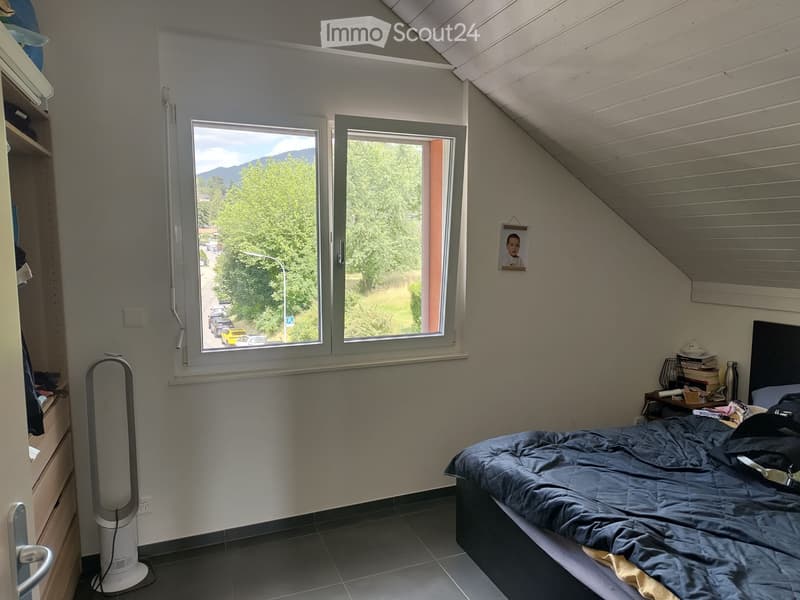 Apartment with a view of the lake, the vineyards and the mountains (3)