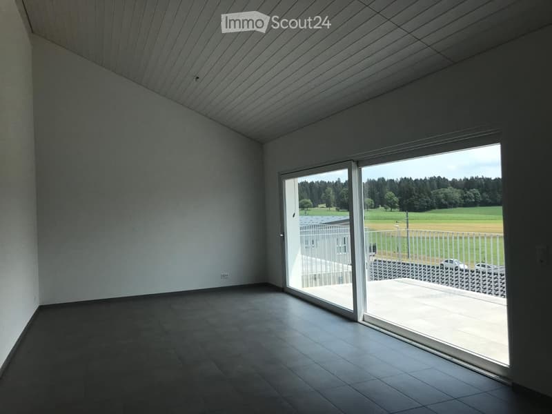 Bel appartement a louer (3)