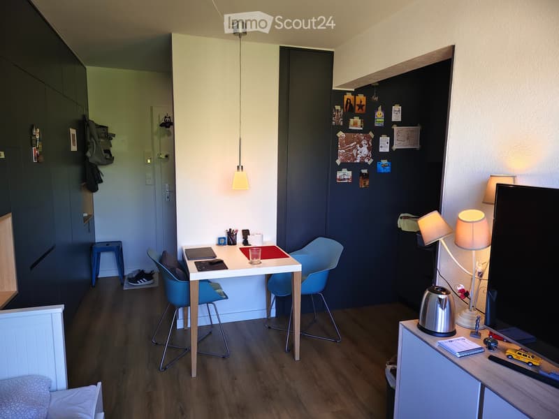 Studio lumineux à Gland, Vaud - disponible juillet (1)