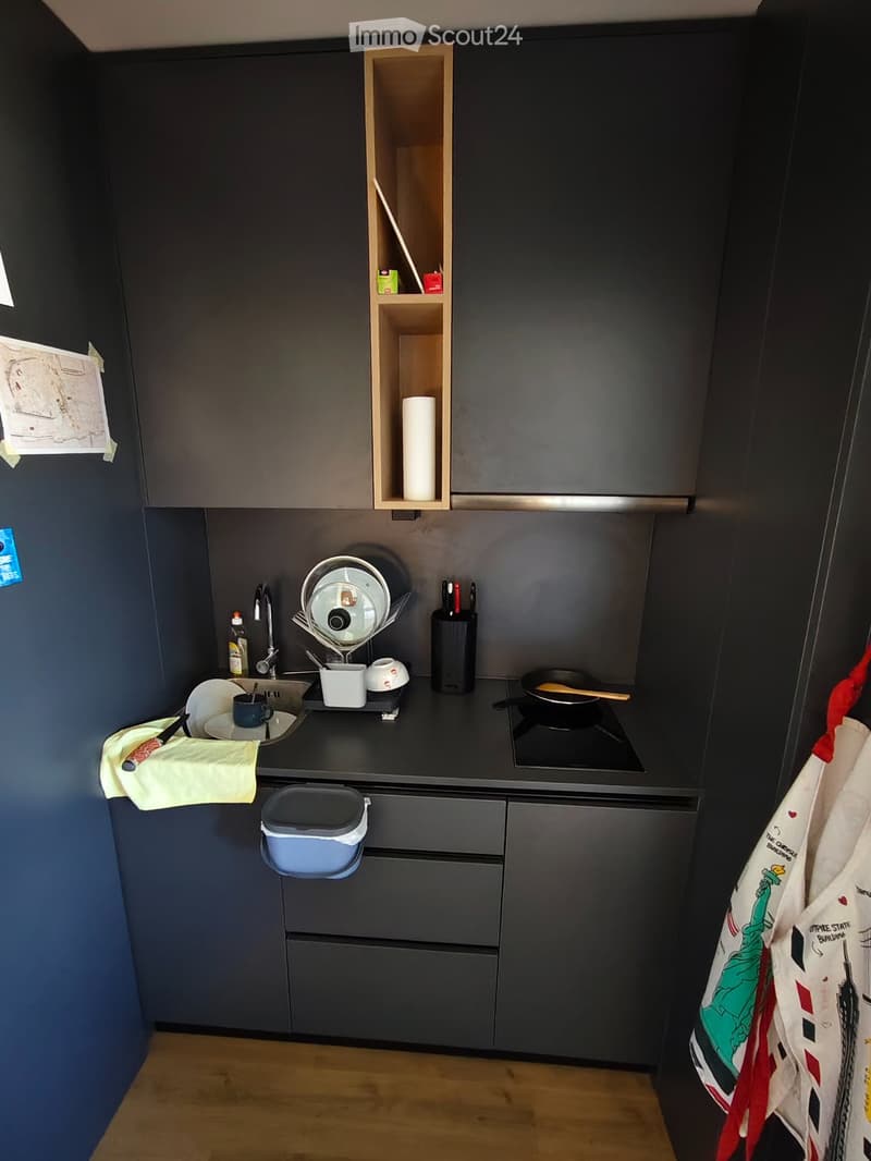 Studio lumineux à Gland, Vaud - disponible juillet (5)