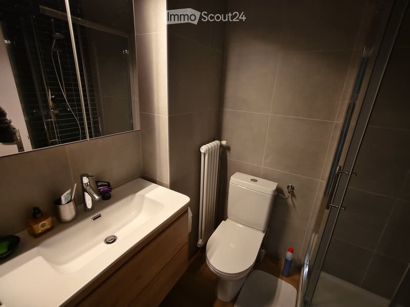 Studio lumineux à Gland, Vaud - disponible juillet (4)