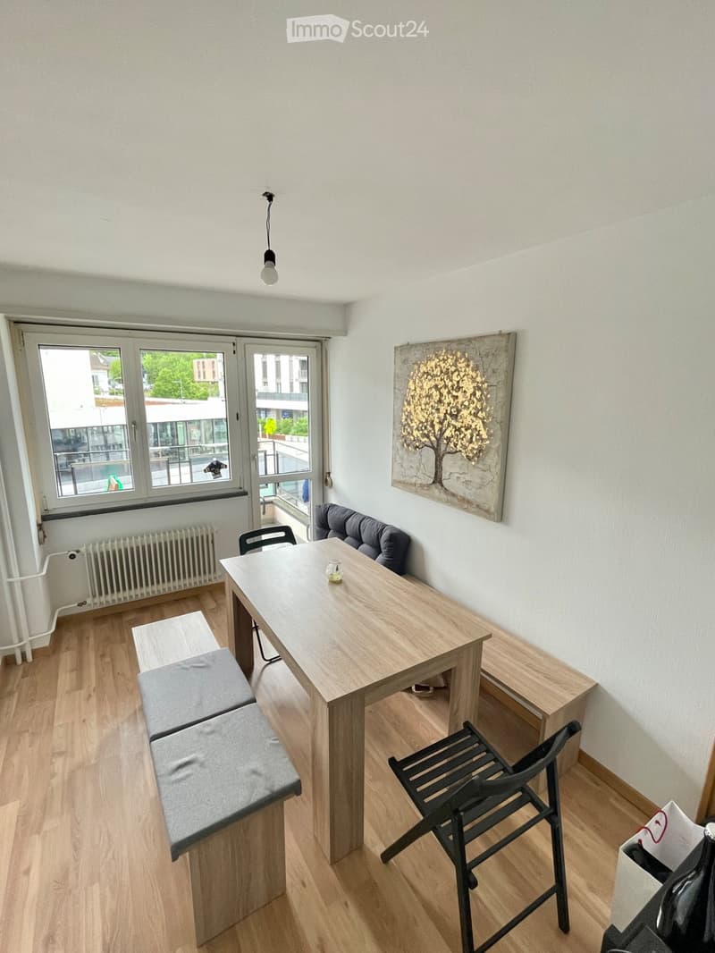 Appartement 3.5 pcs au centre-ville (3)