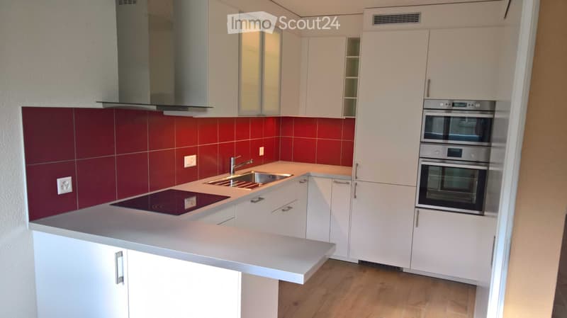 Zu Verkaufen Wohnung mit 4.5 Zimmern (3)