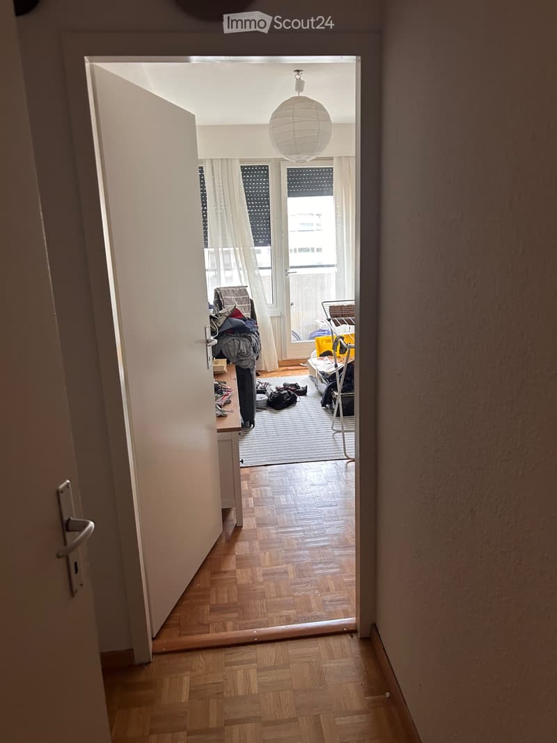 Grande appartamento di 5 locali in affitto a Plainpalais - subentro in affitto (5)