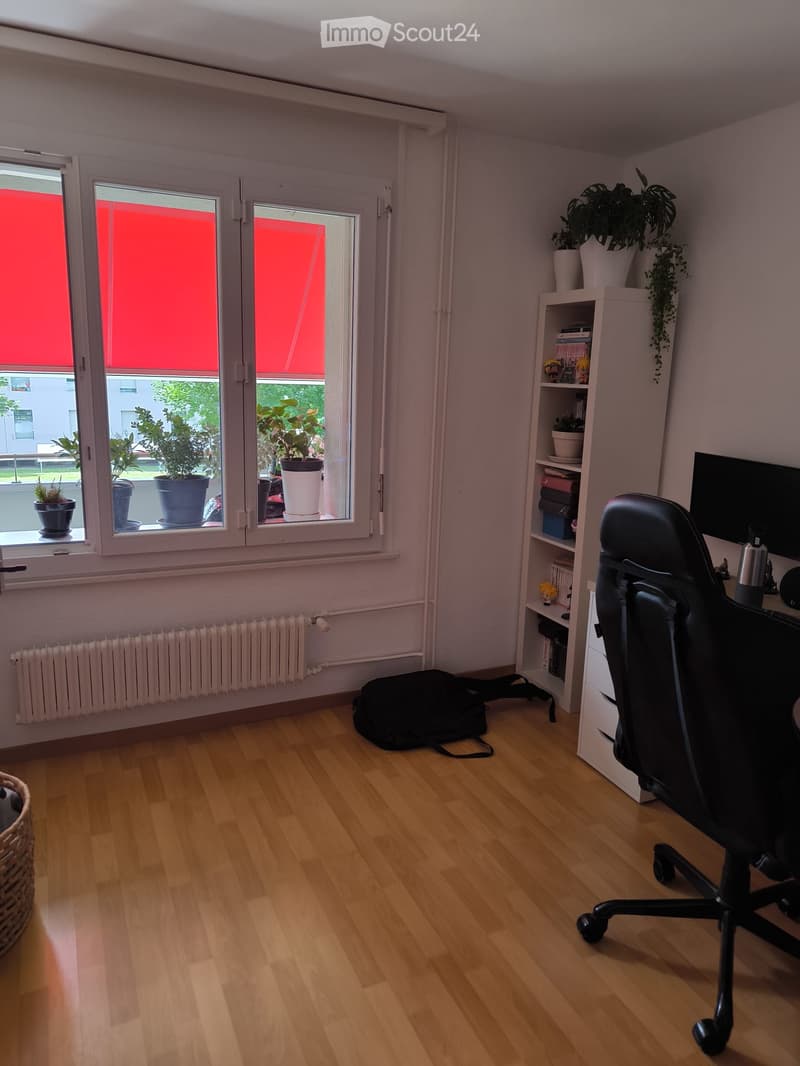 Zweizimmerwohnung + Abstellraum (4)