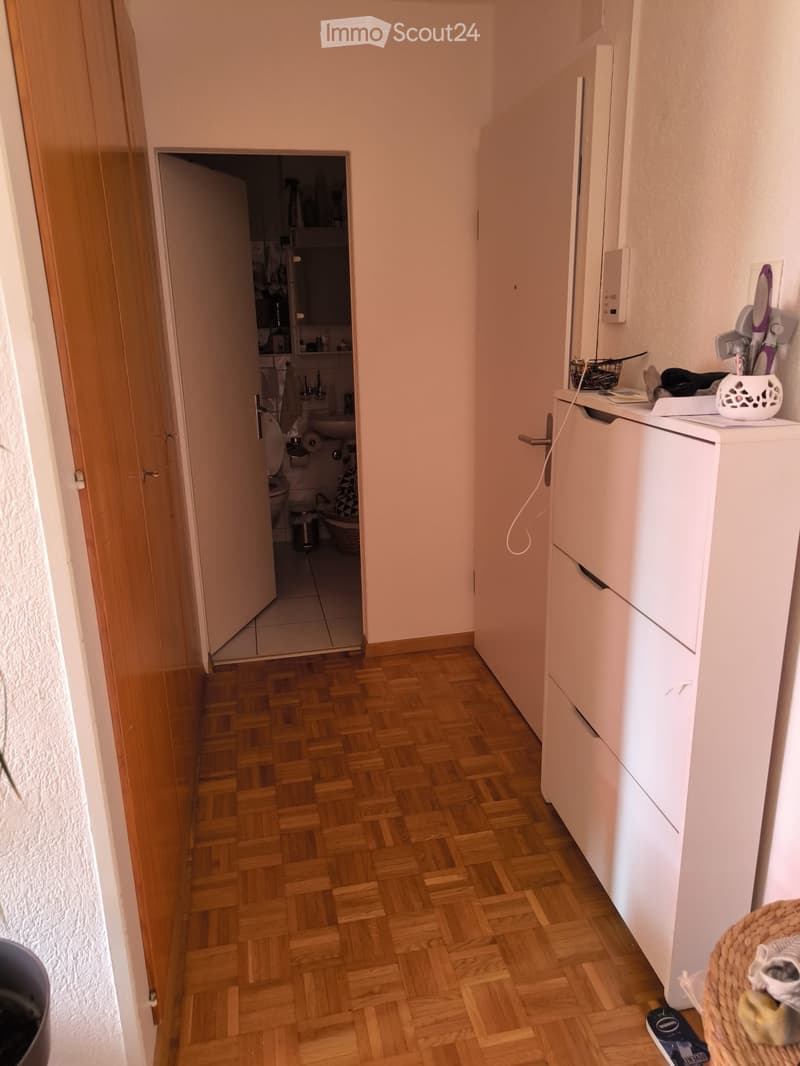 Zweizimmerwohnung + Abstellraum (5)
