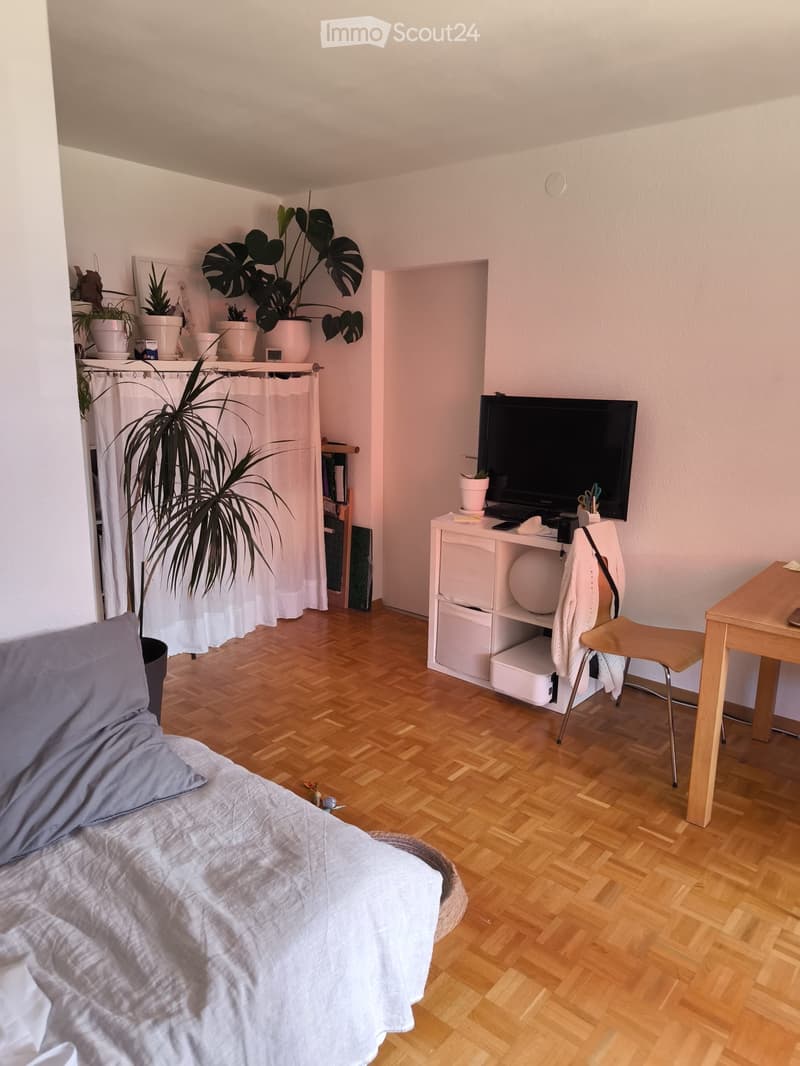 Zweizimmerwohnung + Abstellraum (3)