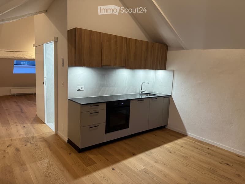 Loft von 60m2 neu zu vermieten (1)