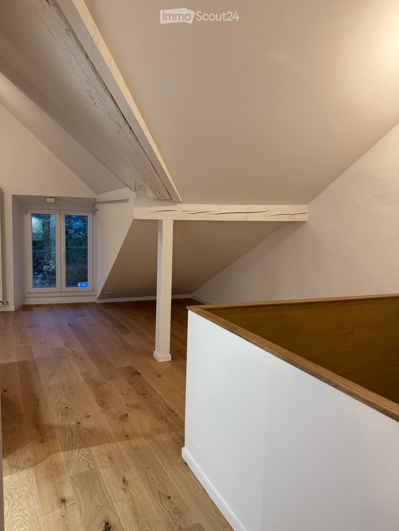 Loft von 60m2 neu zu vermieten (5)
