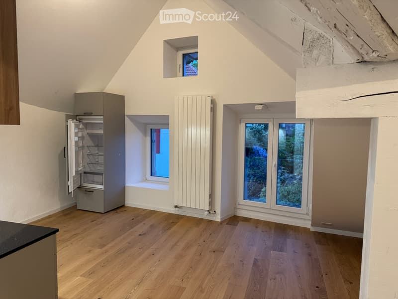 Loft von 60m2 neu zu vermieten (4)