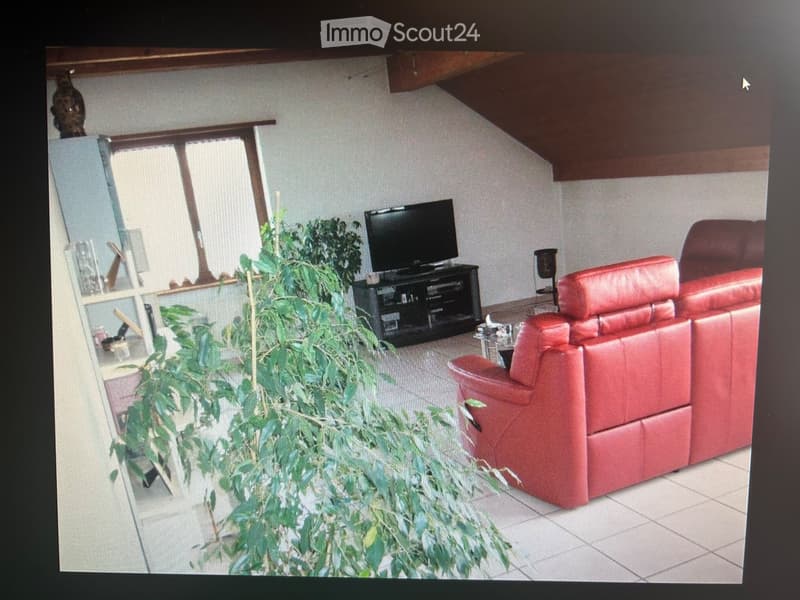 Zu vermieten geräumige Wohnung (1)